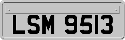 LSM9513