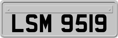 LSM9519