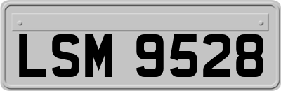LSM9528