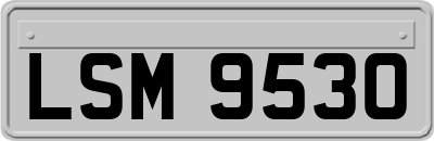 LSM9530