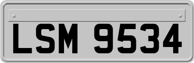 LSM9534