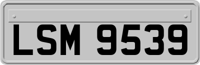 LSM9539