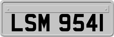LSM9541