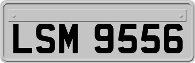 LSM9556