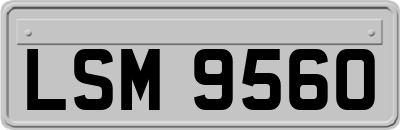 LSM9560