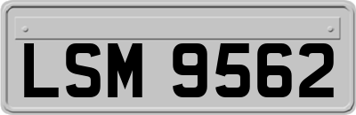 LSM9562