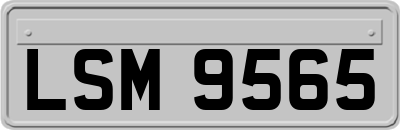 LSM9565