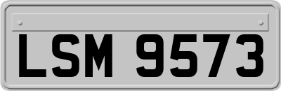 LSM9573