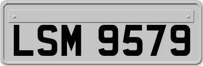LSM9579