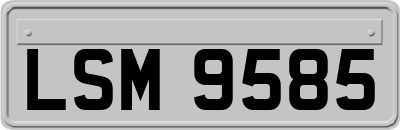 LSM9585