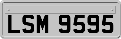 LSM9595