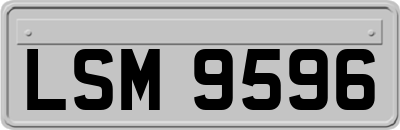 LSM9596