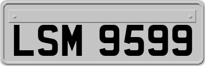 LSM9599
