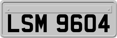 LSM9604
