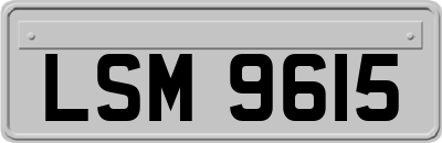 LSM9615