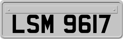 LSM9617