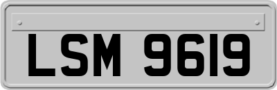 LSM9619