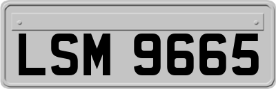 LSM9665