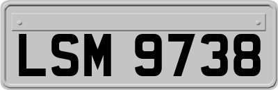 LSM9738