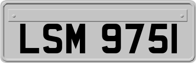 LSM9751