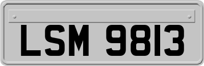 LSM9813