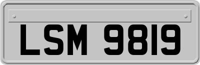LSM9819