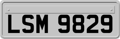 LSM9829