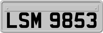 LSM9853