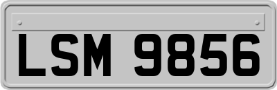 LSM9856