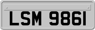 LSM9861