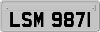 LSM9871