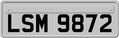 LSM9872