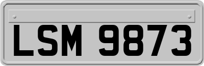 LSM9873