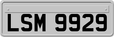 LSM9929