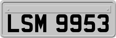 LSM9953