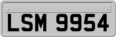 LSM9954