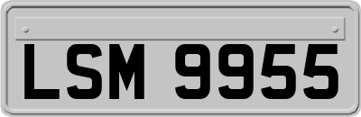 LSM9955