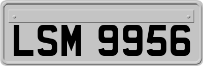 LSM9956
