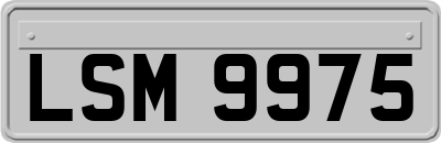 LSM9975