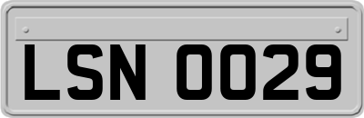 LSN0029