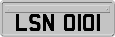 LSN0101