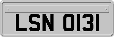 LSN0131
