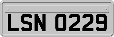 LSN0229