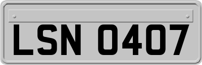 LSN0407