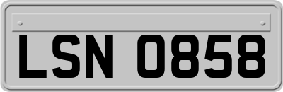 LSN0858