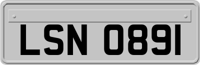 LSN0891