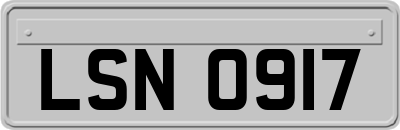 LSN0917