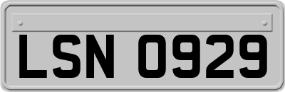 LSN0929