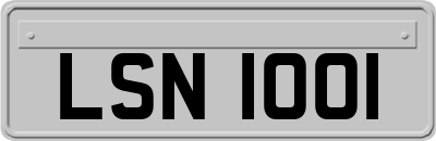 LSN1001