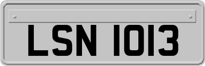 LSN1013